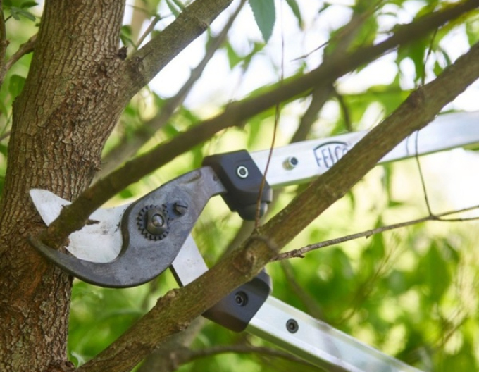 FELCO 211 - 60 Zweihand-Astschere