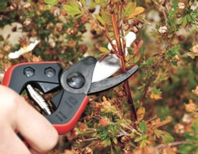FELCO 160S Gartenschere