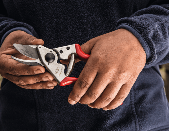 FELCO 16 Linkshändige Gartenschere