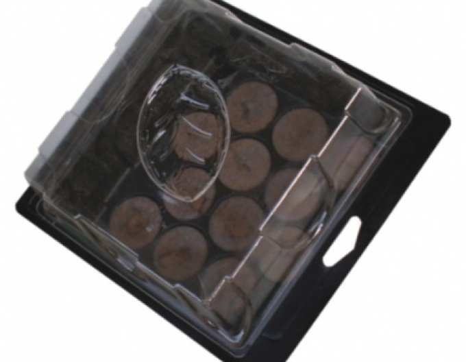 Grunt - Anzuchtgewächshaus mit Torfquelltabs 12stk.