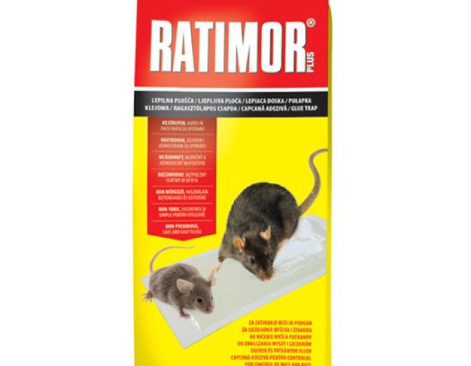 RATIMOR Klebeplatte 2St.