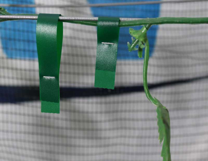 Klammern für Bindezangen