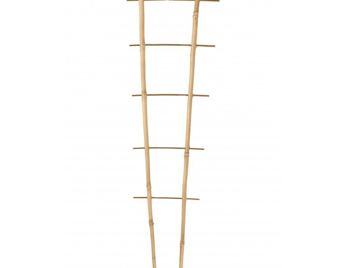 Bambusstütze doppelte PB2 150cm